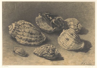 Six Shells by Frederik Willem Zürcher