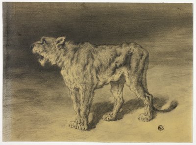 Lioness Roaring by Frederik William Zurcher