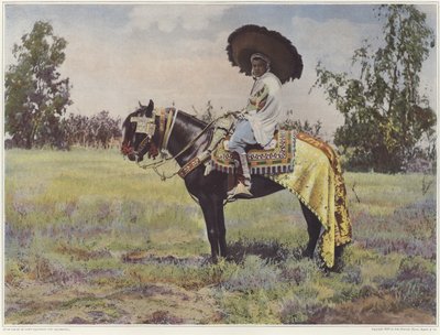 A Tunisian Person on Horseback by French Photographer