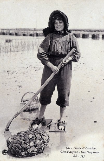 Arcachon Basin: An Oyster Parcering Machine by French Photographer