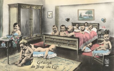 Babies on a bed by French Photographer
