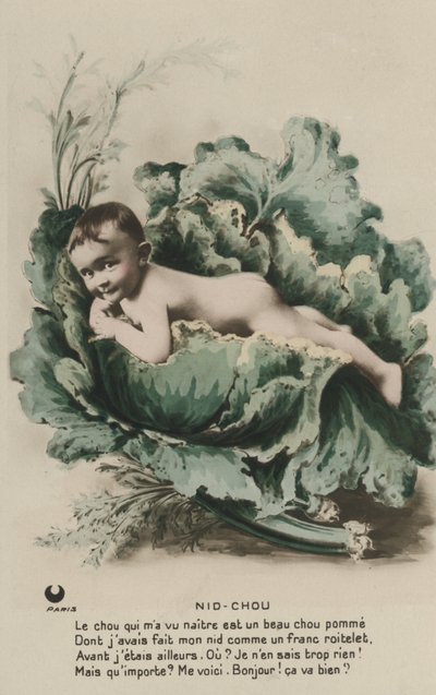 Baby in a Cabbage by French Photographer