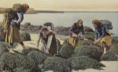 Boulogne-sur-Mer, Types of Mussel Gatherers by French Photographer