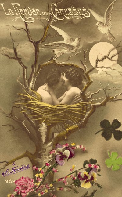 Couple embracing in a bird