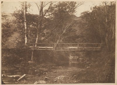 Landscape with Trees and Bridge, c. 1850 by French Photographer