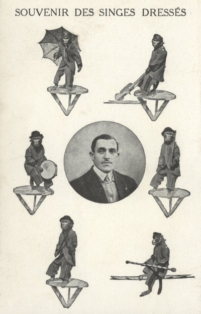 Monkeys in costume by French Photographer