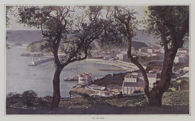 View of Nice by French Photographer