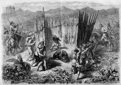 A tiger hunt on Java Island in 1862. Engraving in 