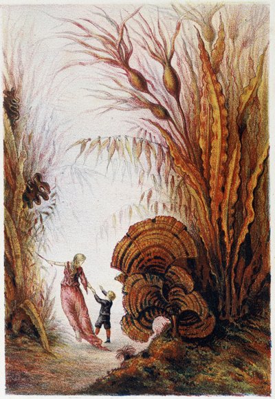 A Woman and a Boy Walking Through the Underwater World - in Journey to the Bottom of the Sea by H. de la Blanchère by French School