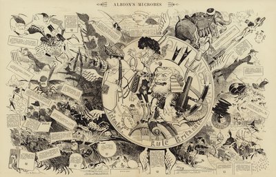 Albion
