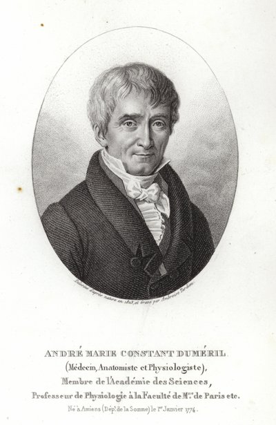 André Marie Constant Duméril by French School