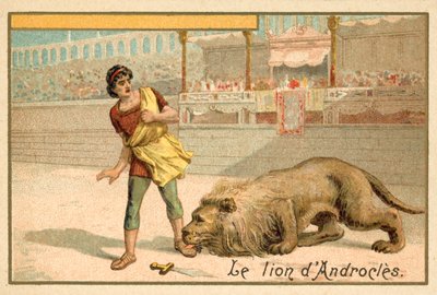 Androcles and the Lion by French School