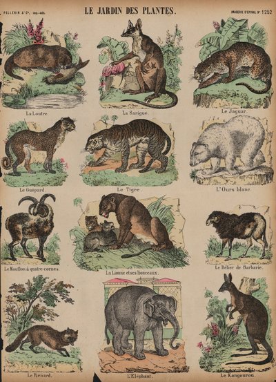 Animals at the Jardin des Plantes, Paris, France by French School