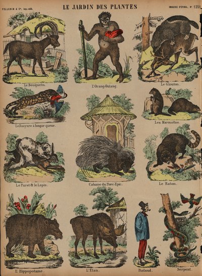 Animals at the Jardin des Plantes, Paris, France by French School