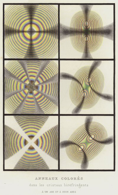 Colored Rings in Birefringent Crystals with One and Two Axes (colour litho) by French School