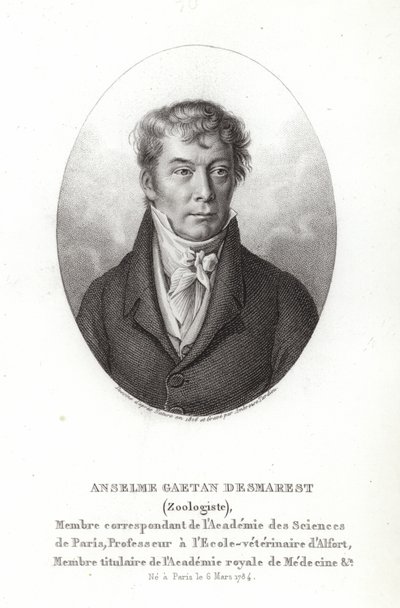 Anselme Gaëtan Desmarest by French School