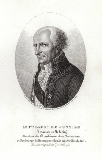 Antoine Laurent de Jussieu by French School