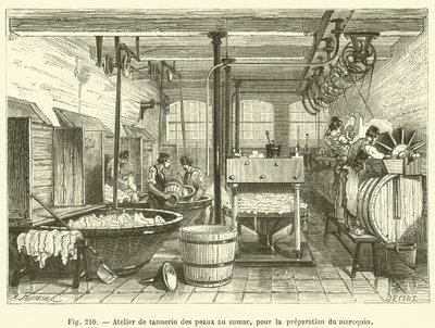 Tannery Workshop for Preparing Morocco Leather with Sumac (engraving) by French School