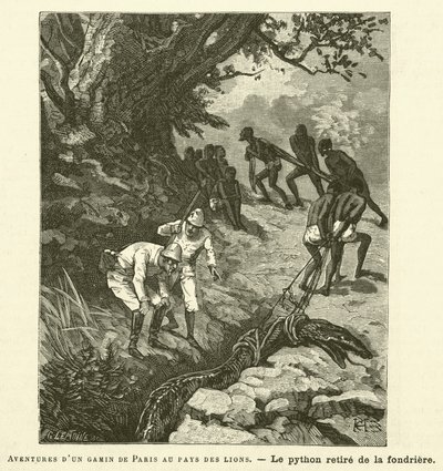 Adventures of a Parisian Kid in the Land of Lions (engraving) by French School