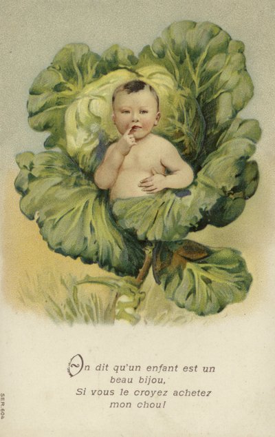 Baby in a Cabbage by French School