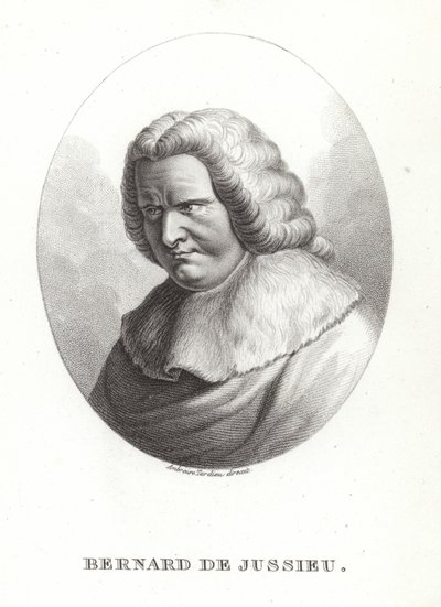 Bernard de Jussieu by French School
