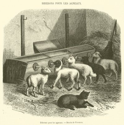 Bottles for Lambs (engraving) by French School