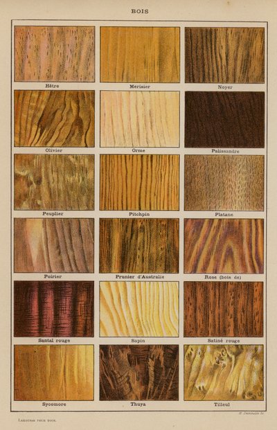 Wood by French School