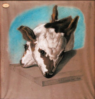 Calf with Two Heads by French School
