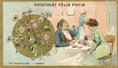 Camomile Tea by French School