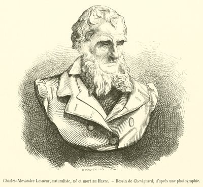 Charles-Alexandre Lesueur, Naturalist, Born and Died in Le Havre by French School
