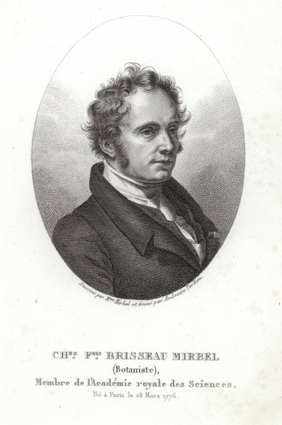 Charles-François Brisseau de Mirbel by French School
