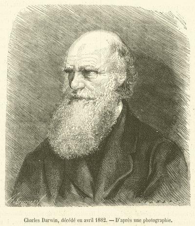 Charles Darwin, Deceased in April 1882 by French School