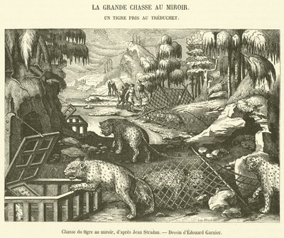 Tiger Hunt with Mirror (engraving) by French School