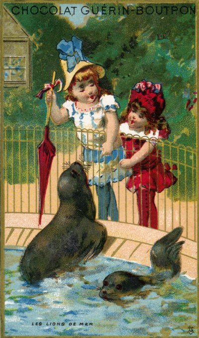 Children at zoo, looking at the sea lions by French School