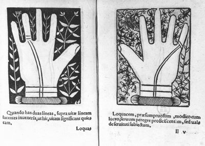 Chiromantic Hands, illustration from Chiromatiae Principiis...Anastasis by Bartolommeo della Rocca (Cocles) by French School