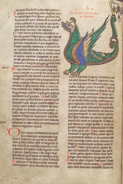 Text with Illustration of a Dragon, from Liber Floridus by Lambert de Saint-Omer c.1120 by French School