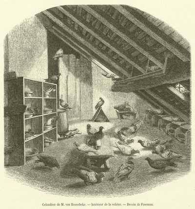 Dovecote of Mr. van Roosebeke, Interior of the Aviary (engraving) by French School