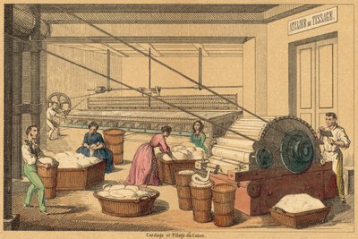 Cotton by French School