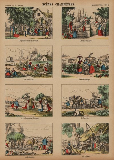 Countryside Scenes by French School