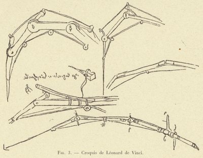 Sketches by Leonardo da Vinci by French School