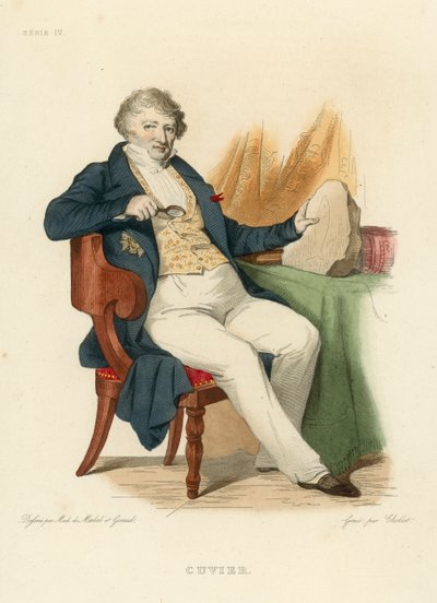 Cuvier by French School