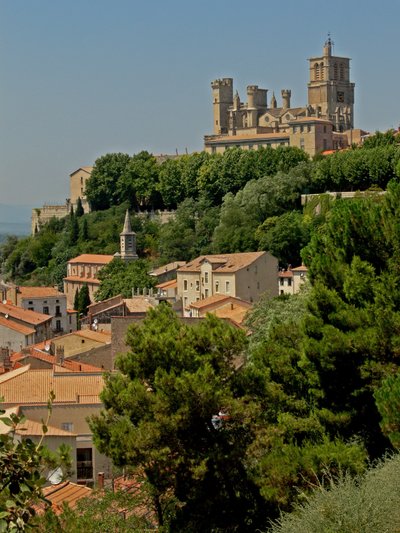 View of the Cathedral from the South by French School