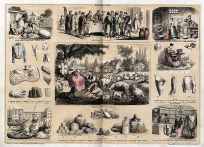 Description of the various uses and products of sheep: sheepcutting, paschal lamb served as a traditional dish in Easter, young dairy women making butter and cheeses; tapestry and wool products, cups, slippers, wool stockings, sold in fabric and fabric sho by French School