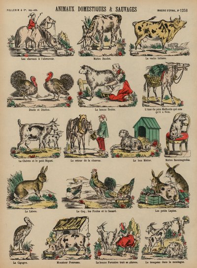 Domesticated and Wild Animals by French School