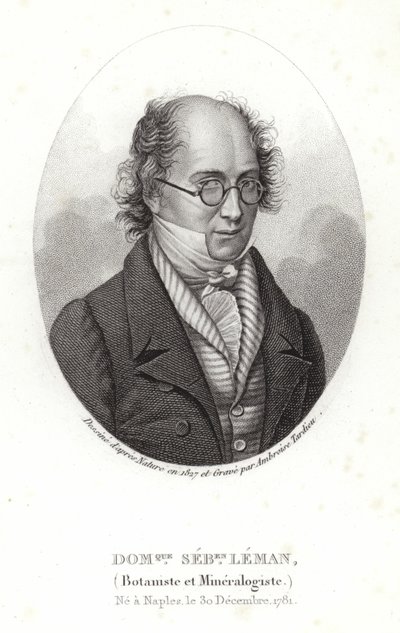 Dominique Sebastion Leman by French School