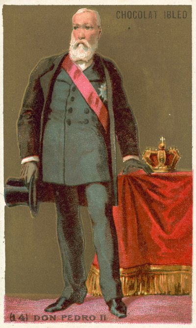 Don Pedro II, Emperor of Brazil by French School