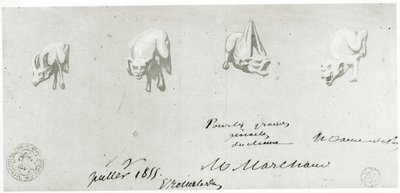 Drawing for the Restoration of the Gargoyles of Notre Dame, 1855 by French School