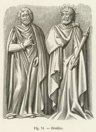 Druids by French School