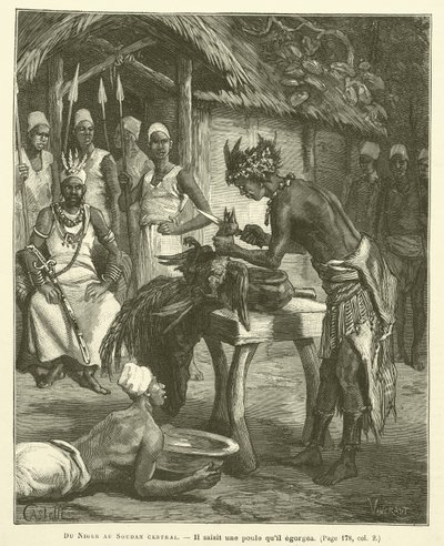 From the Niger to Central Sudan by French School