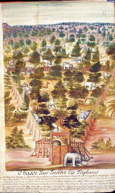 Elephant Hunt in Siam, from an account of the Jesuits in Siam, 1688 by French School